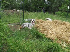 Need help lifting that hay bale?